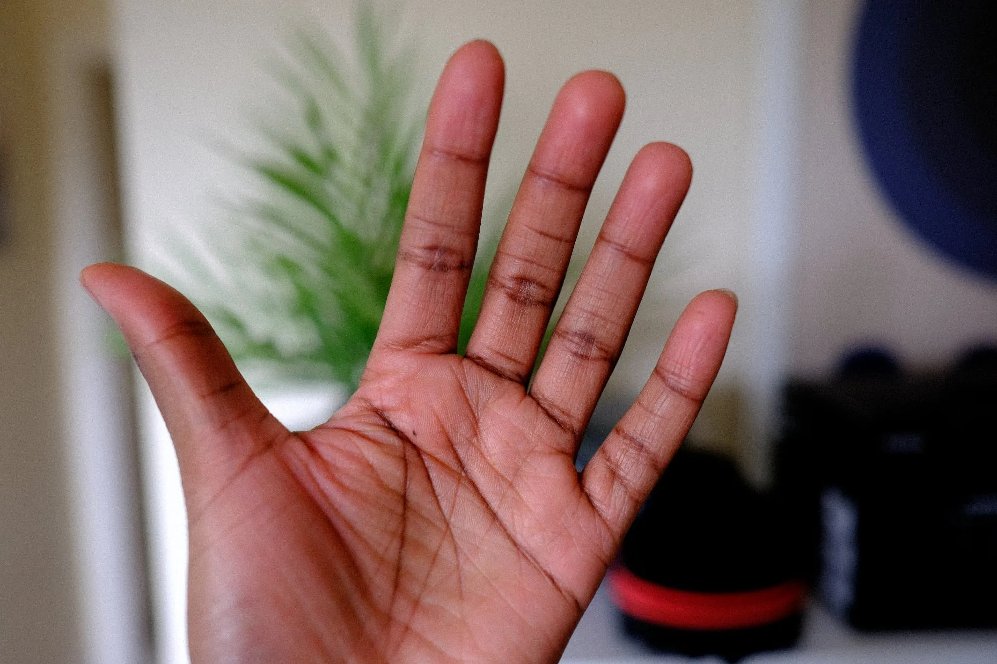 outstretched palm of a mans hand faced towards the camera with a painting, fake flower pot and afro brush behind it.